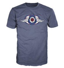 PINBALL WIZARD WINGS