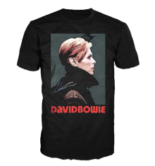 DAVID BOWIE - LOW PORTRAIT